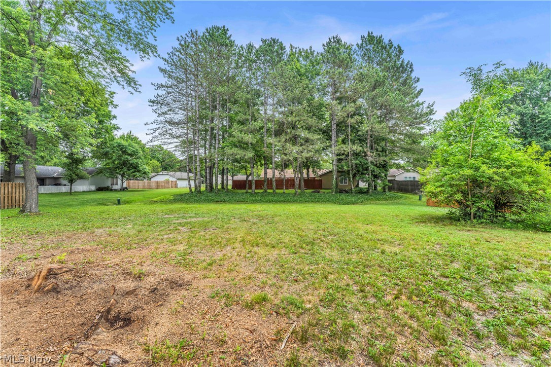 Meadowood Ph 01 - Residential
