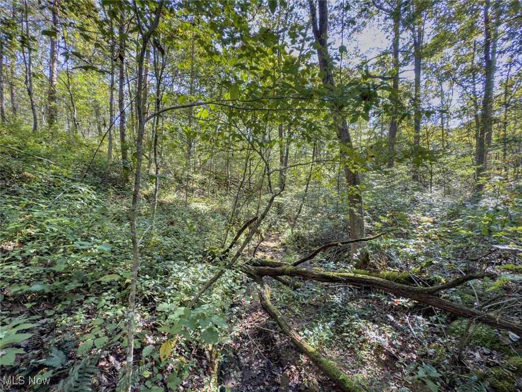 Palmer - Land