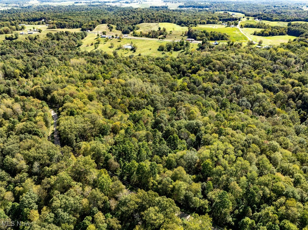 Palmer - Land