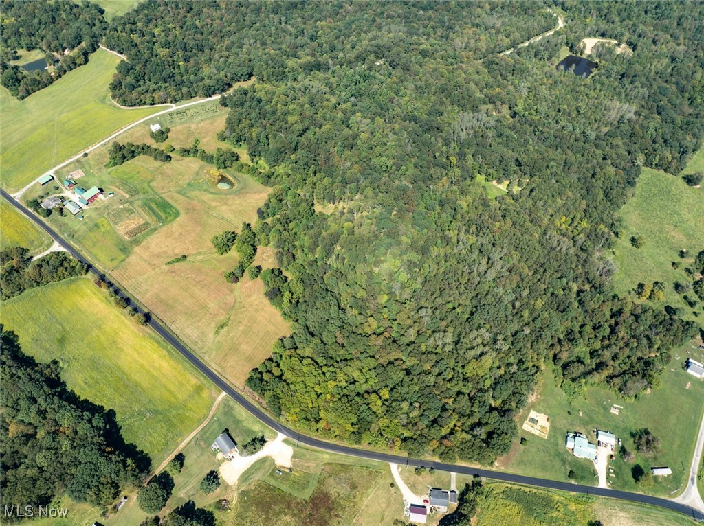 Palmer - Land