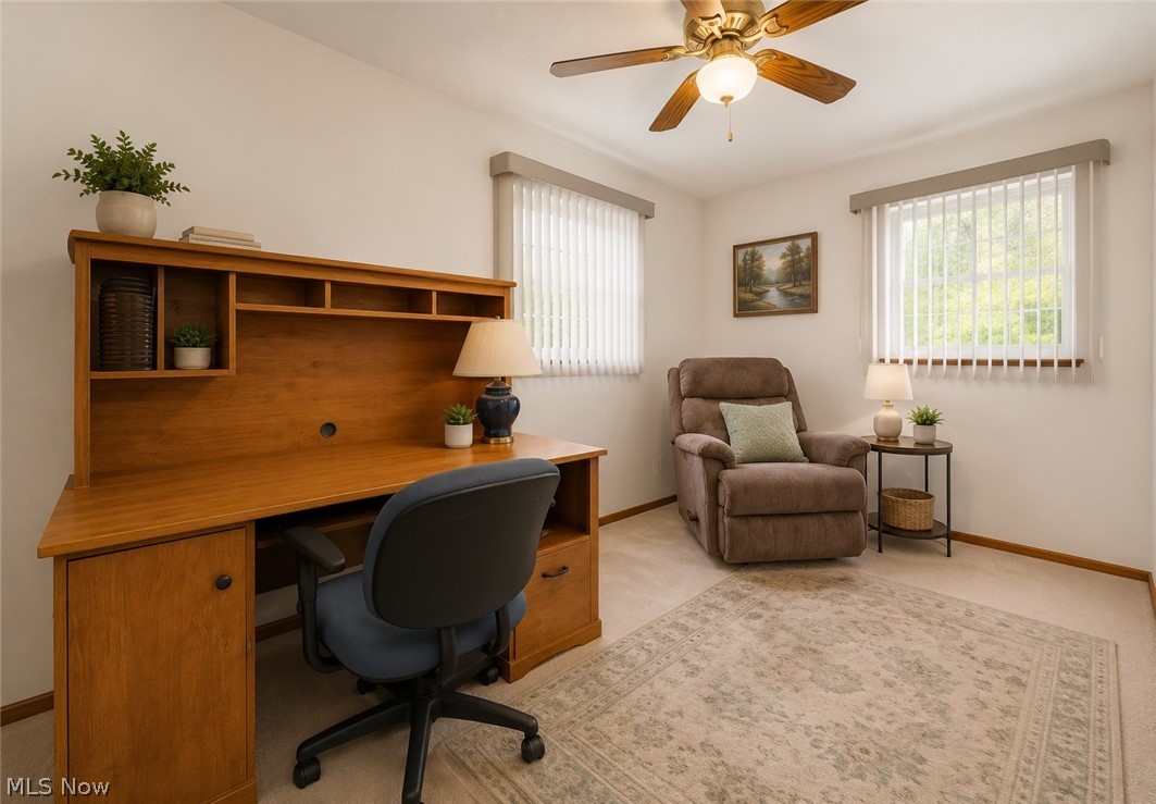 Mentor Manor - Residential