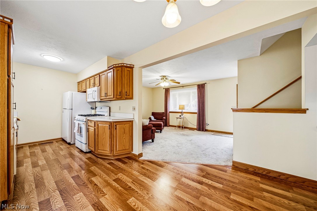 Mentor Manor - Residential