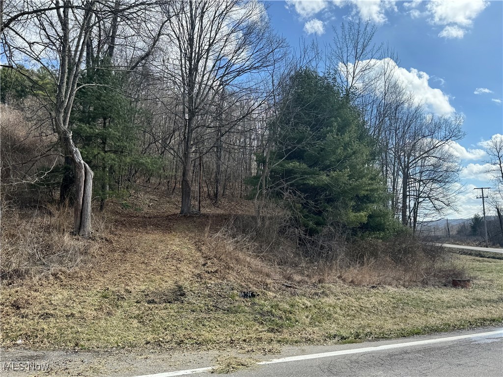 Piedmont Lake! Just over 1.5 acres with NEW SURVEY! This piece of land has a partial clearing surrounded by mature trees perfect to build on or to camp and get away for the weekend! Easy access to US-22 and minutes from the lake to fish, hike and explore nature. All mineral rights including oil and gas that the seller owns are included in the sale; they are not currently leased.