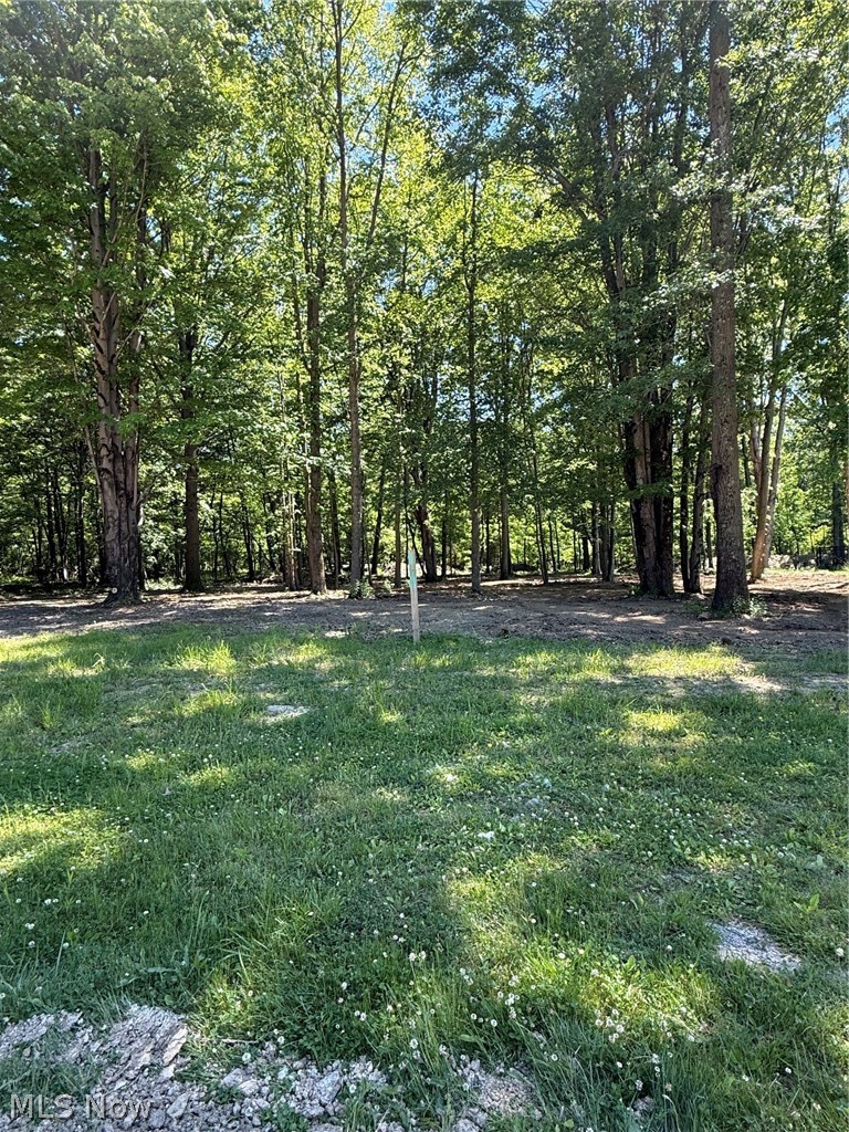 Let Cassell build your new home on this large 0.53 acre wooded lot!  No HOA!  Public Water and Public Sewer. Deed restrictions require 1400sf minimum for ranch, and 1800sf minimum for 2-story.  Cassell is a custom builder, so bring your plans, or use one of ours!