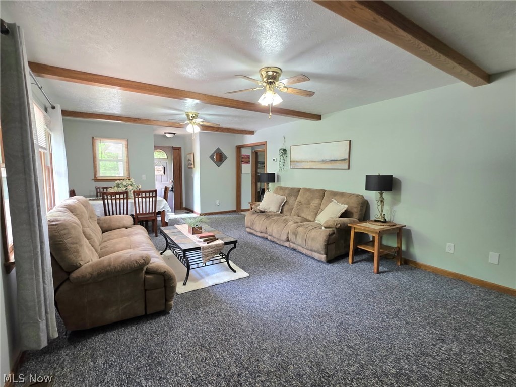 Triangle Park - Residential