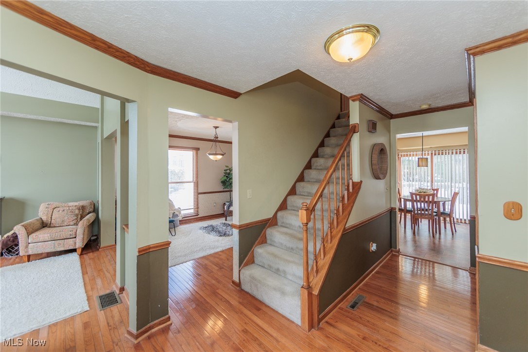 Meadow Wood - Residential