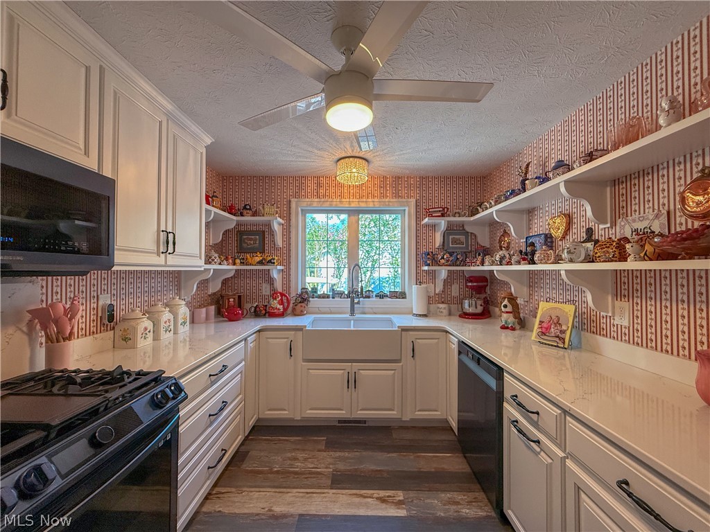 Chippewa Lake Village - Residential