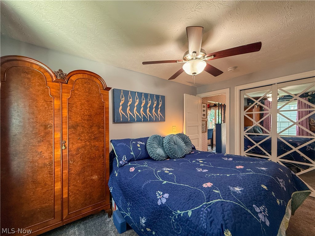 Chippewa Lake Village - Residential