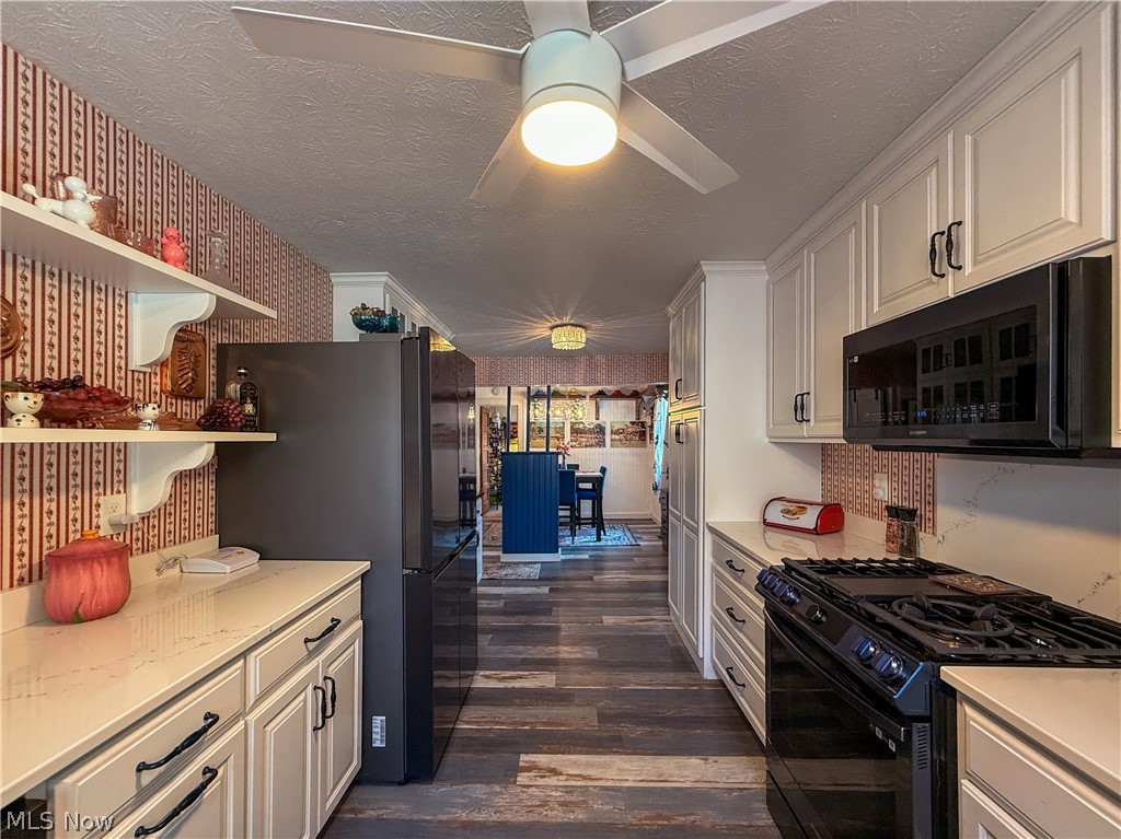 Chippewa Lake Village - Residential