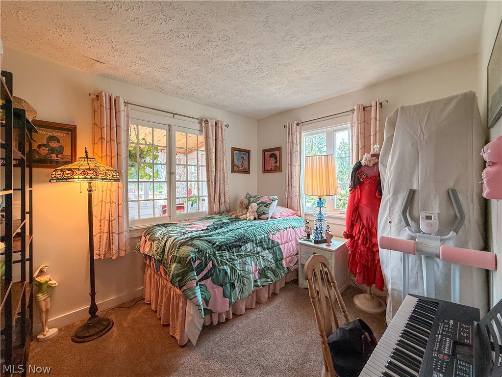 Chippewa Lake Village - Residential