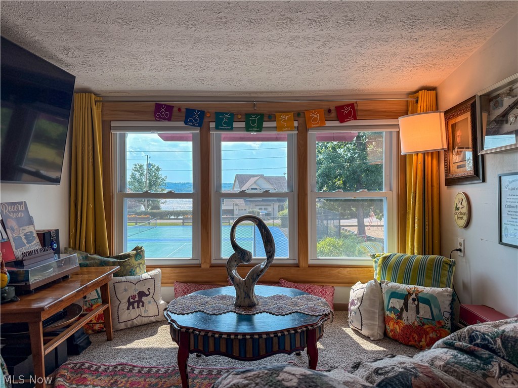 Chippewa Lake Village - Residential