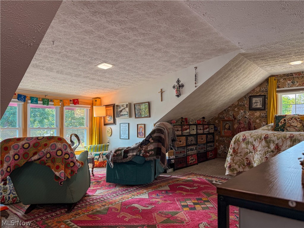 Chippewa Lake Village - Residential