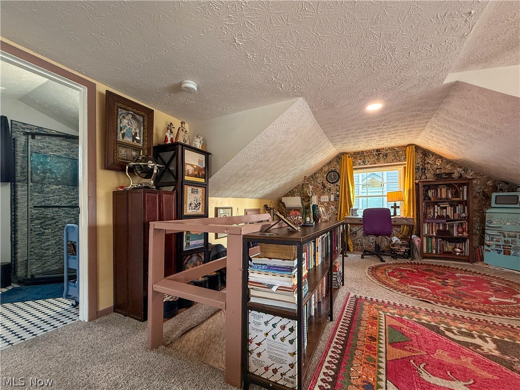 Chippewa Lake Village - Residential