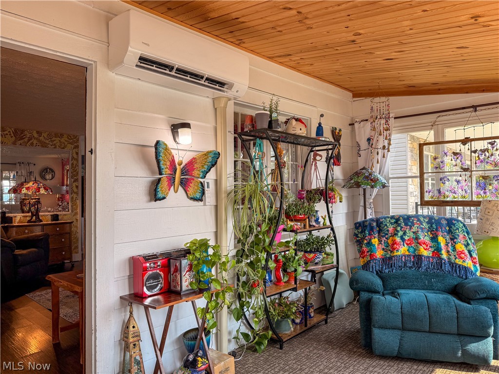 Chippewa Lake Village - Residential