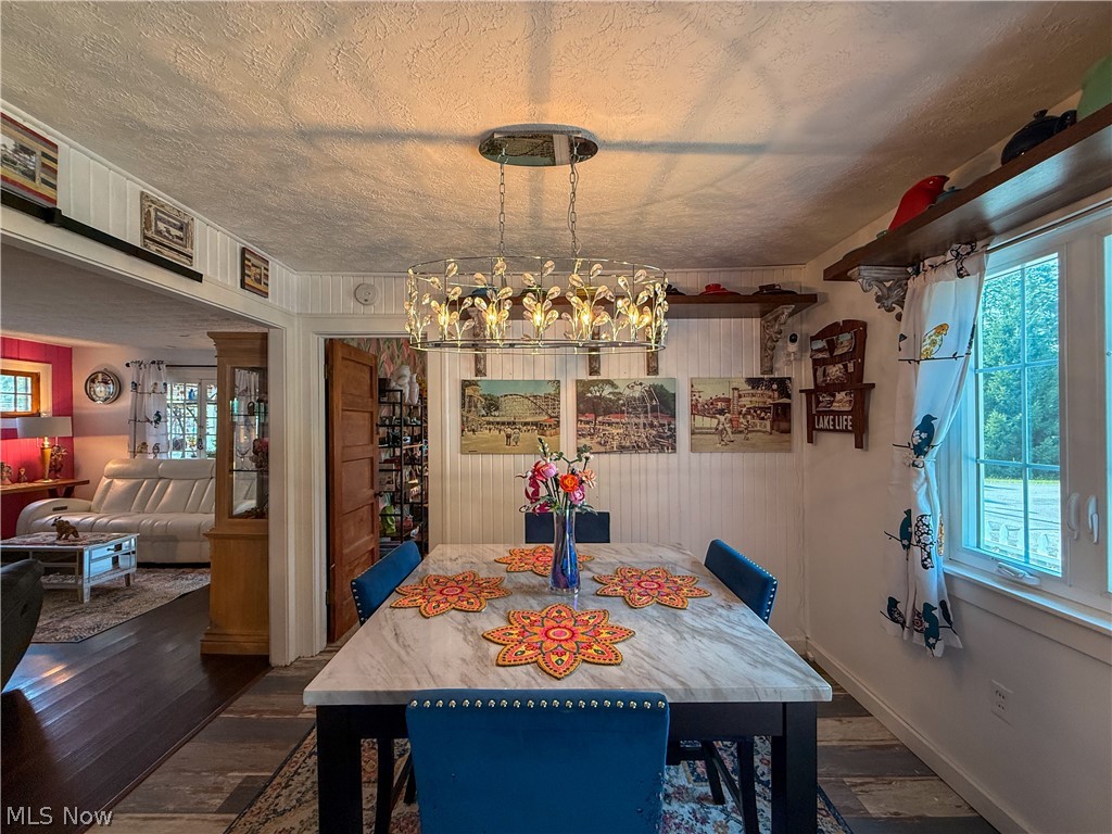Chippewa Lake Village - Residential