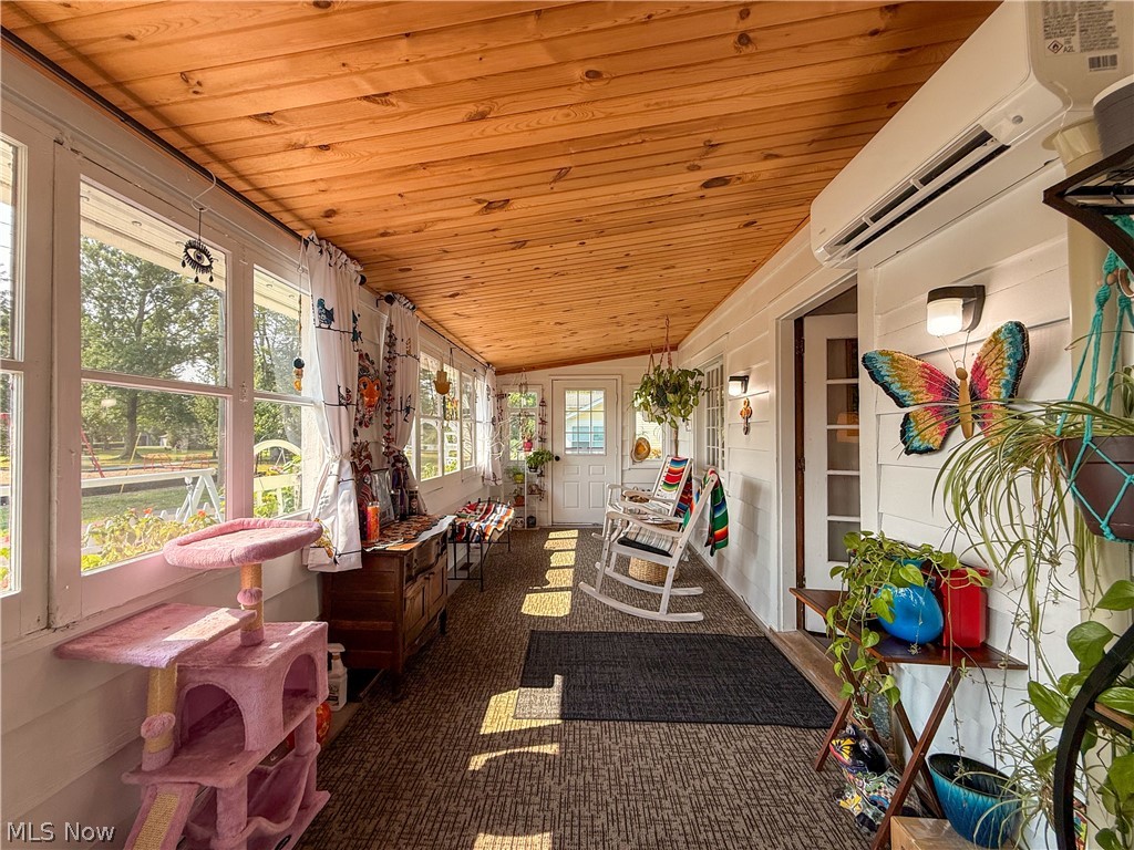Chippewa Lake Village - Residential