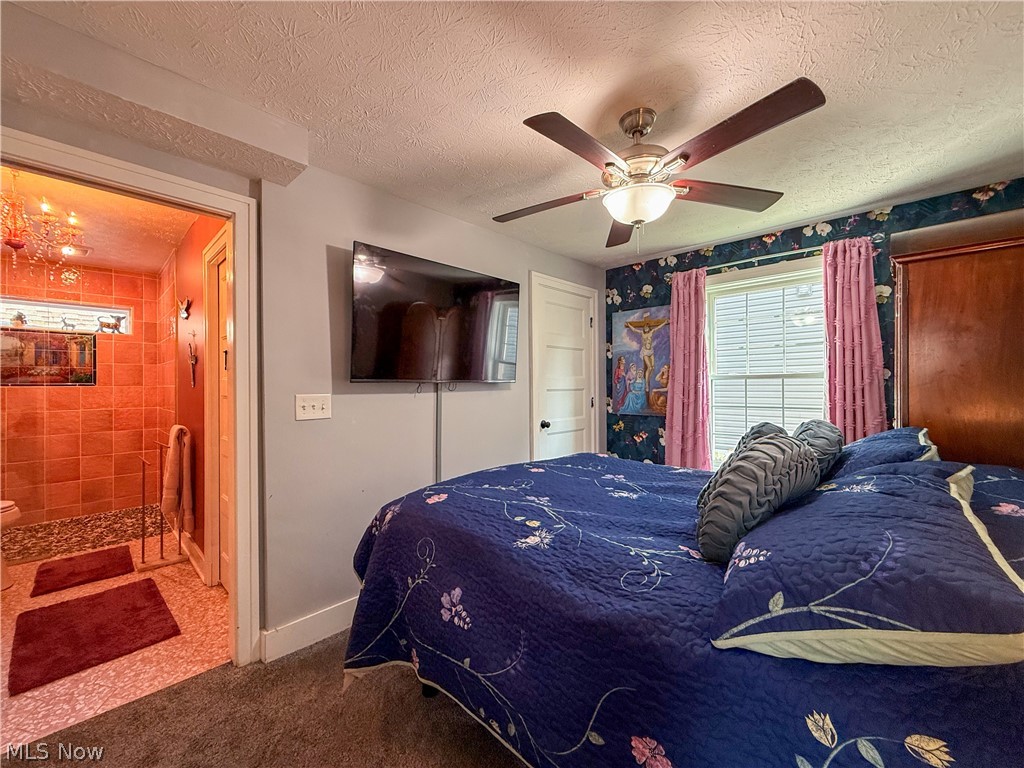 Chippewa Lake Village - Residential