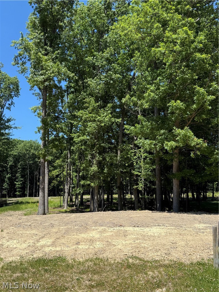 Let Cassell build your new home on this large wooded lot.  A 2-story home with a Daylight Basement overlooking the pond would be amazing!  Minimum square footage per the deed restrictions is 2200sf.  Cassell is a custom builder, so bring your plans or use one of ours.