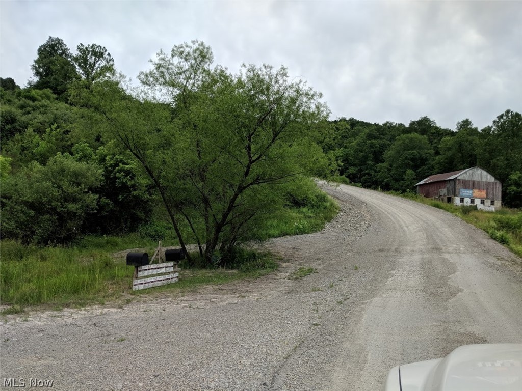 80 ACRES!!!  Less than 1/2 mile from Rt. 50 and located along Rt. 74 South (Pullman Drive).  Great hunting and offers a great view from the ridge top.  Build your home/cabin here.  Gas company right of way thru property.  Property could easily be split into smaller parcels.  Many possibilities.