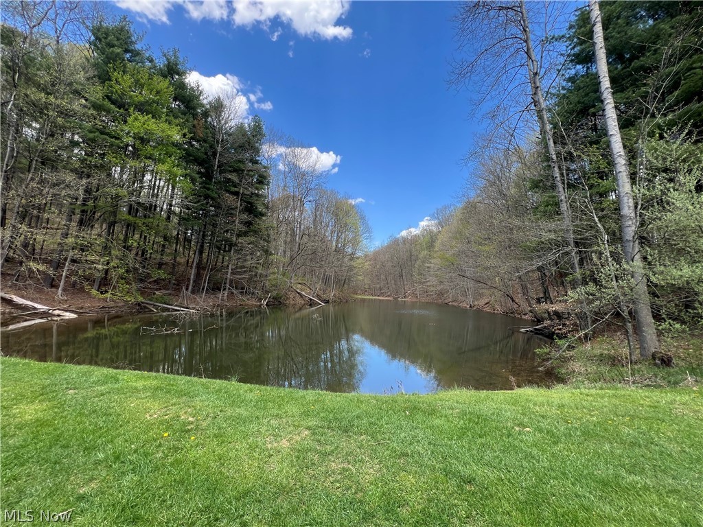 Lake Buckhorn POA - Land