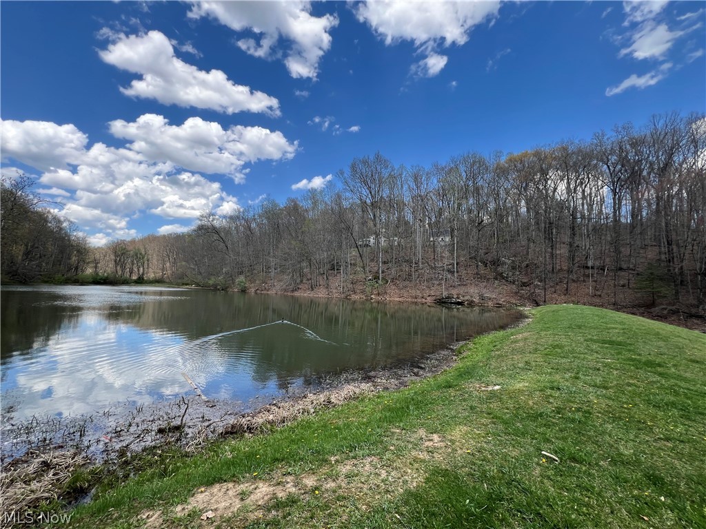 Lake Buckhorn POA - Land