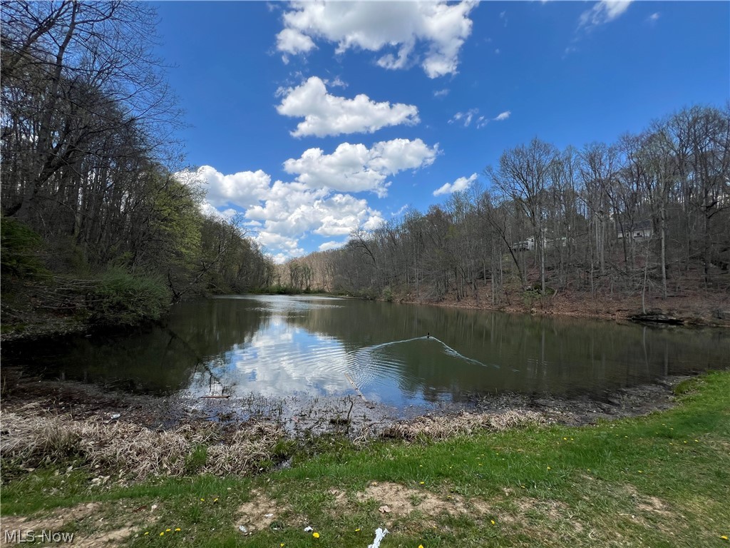 Lake Buckhorn POA - Land
