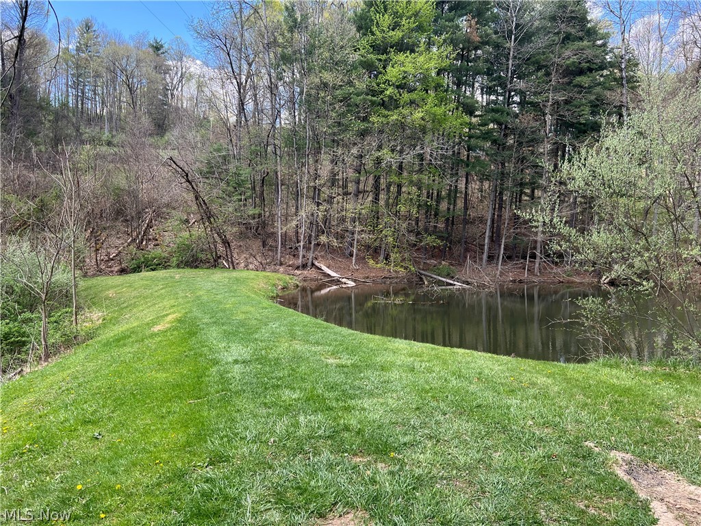 Lake Buckhorn POA - Land