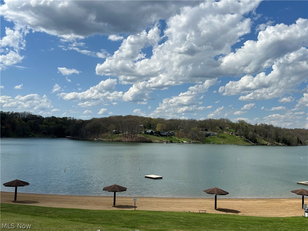Lake Buckhorn POA - Land