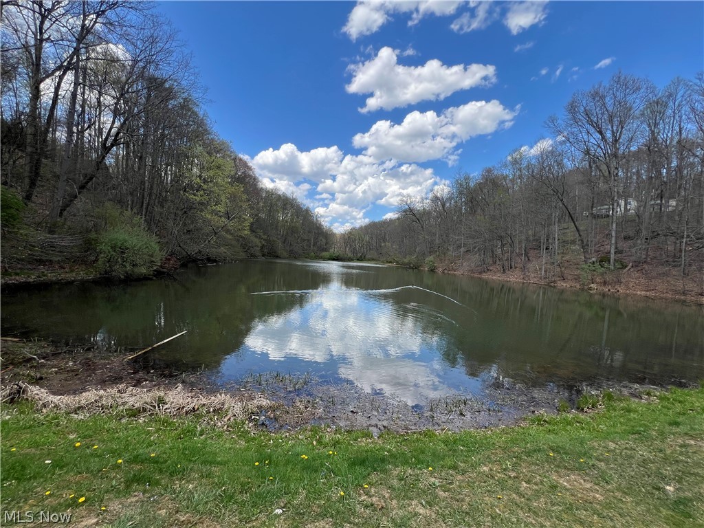 Lake Buckhorn POA - Land
