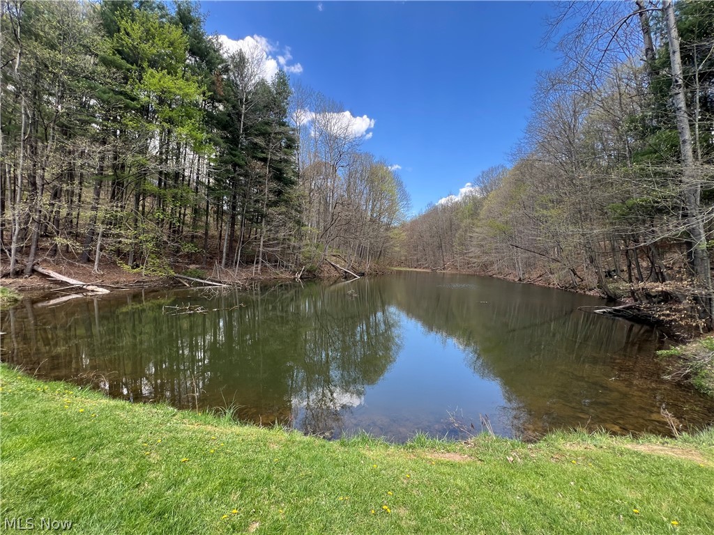 Lake Buckhorn POA - Land