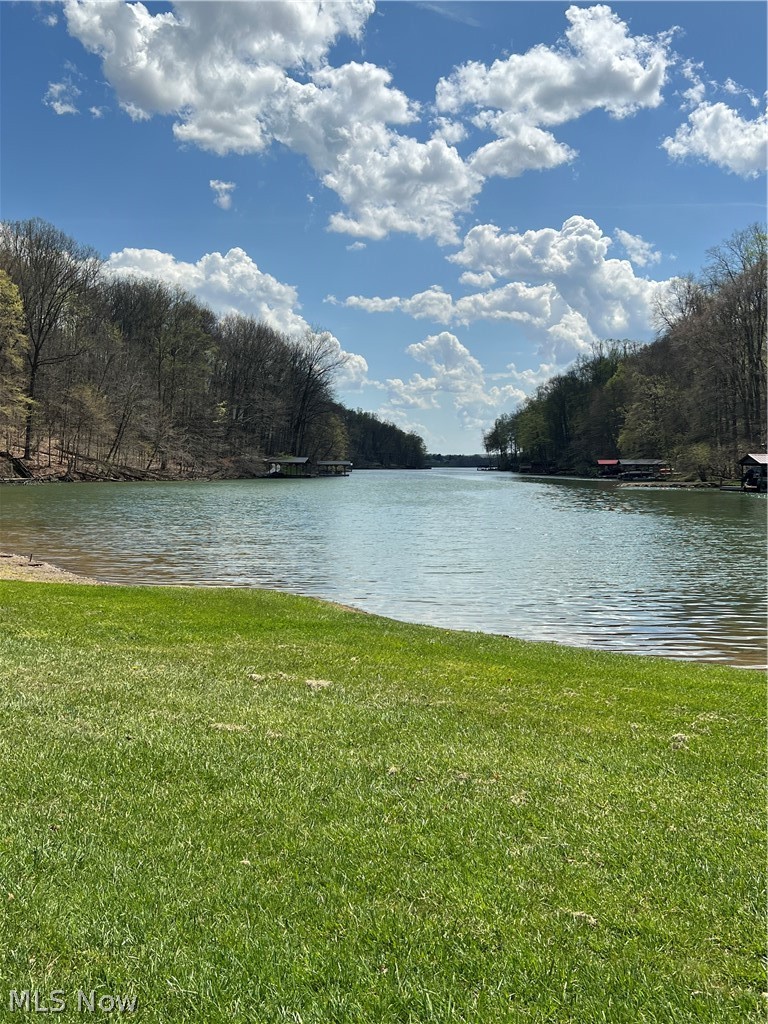 Lake Buckhorn POA - Land