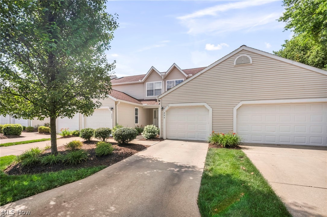 Steeple Chase - Residential