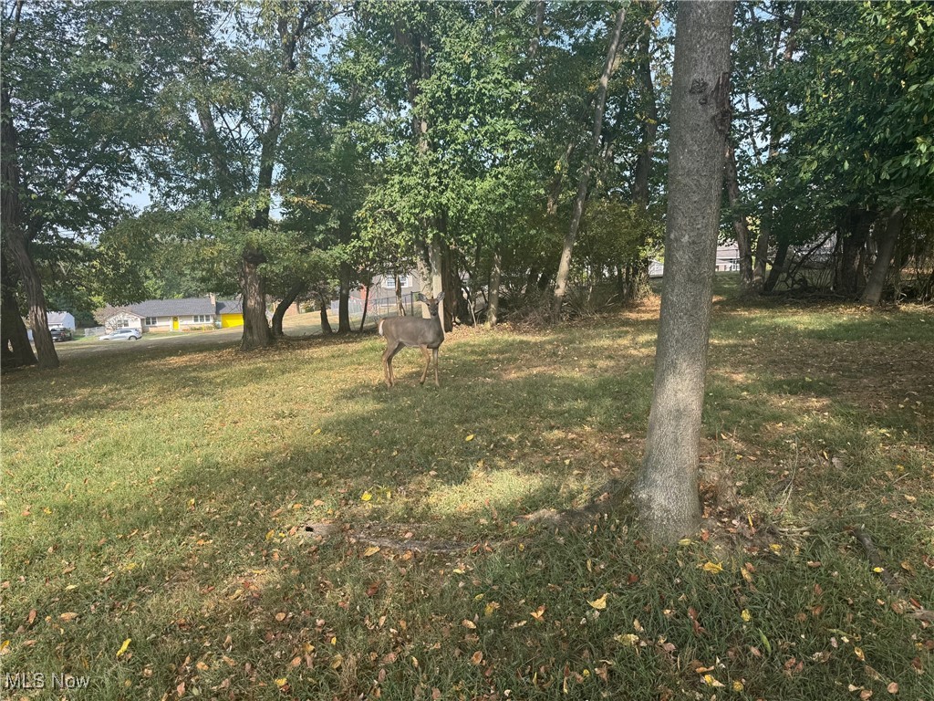 Beautiful residential building lot available in the city limits that is hard to find! Nice mix of cleared and wooded area. The lot is flat with mature trees. There are 3 additional lots also available offering a sprawling, estate like setting! Purchase 1 lot or purchase all!  See attachments for map of all lots, details and pricing.  Access is through existing driveway located at 2755 E Ray Drive, (which is a right of way).  Buyer is responsible for any utility hookups or any further right of way development and also determining exact address.  Right of Ways and lot lines have been marked.