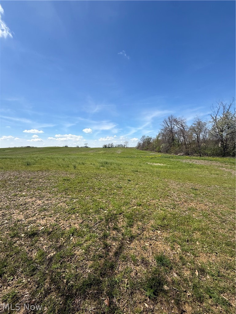 Build your dream home on this beautiful 8-acre vacant land parcel. Located in Marshallville/Chippewa Twp., this property offers the ideal setting for a custom home, hobby farm, or private retreat with plenty of space and flexibility. Enjoy the benefits of rural living while still being within a convenient distance to shopping, dining, and major routes. Property is currently being split and is subject to final survey, township, and county approvals. Great opportunity for buyers, builders, or investors looking for land for sale in Wayne County, Ohio.