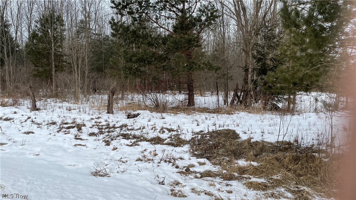 Huntsburg - Land