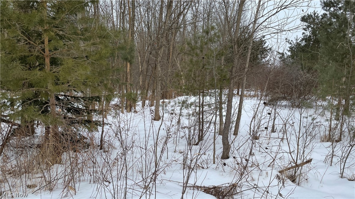 Check out this wooded buildable lot. This lot is 190'x 1517' mainly wooded, a culvert pipe and start of a driveway has already been installed.This land also includes an oil/ gas well which pays out royalty's based on production.Sellers have been granted a variance to build on 190' width lot. Many opportunities with this lot.
