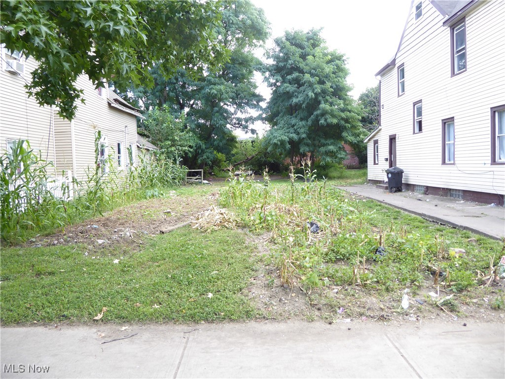 Detroit Shoreway - Land