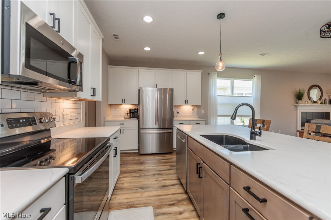 Four Seasons/Chestnut Rdg Sub 55+ - Residential