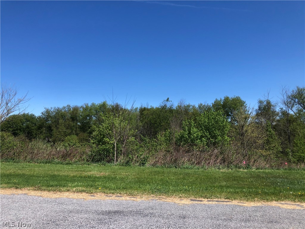 Come check out 2.11 acres in BLSD and St. Clair Township! Close to Amenities! Call before its gone!