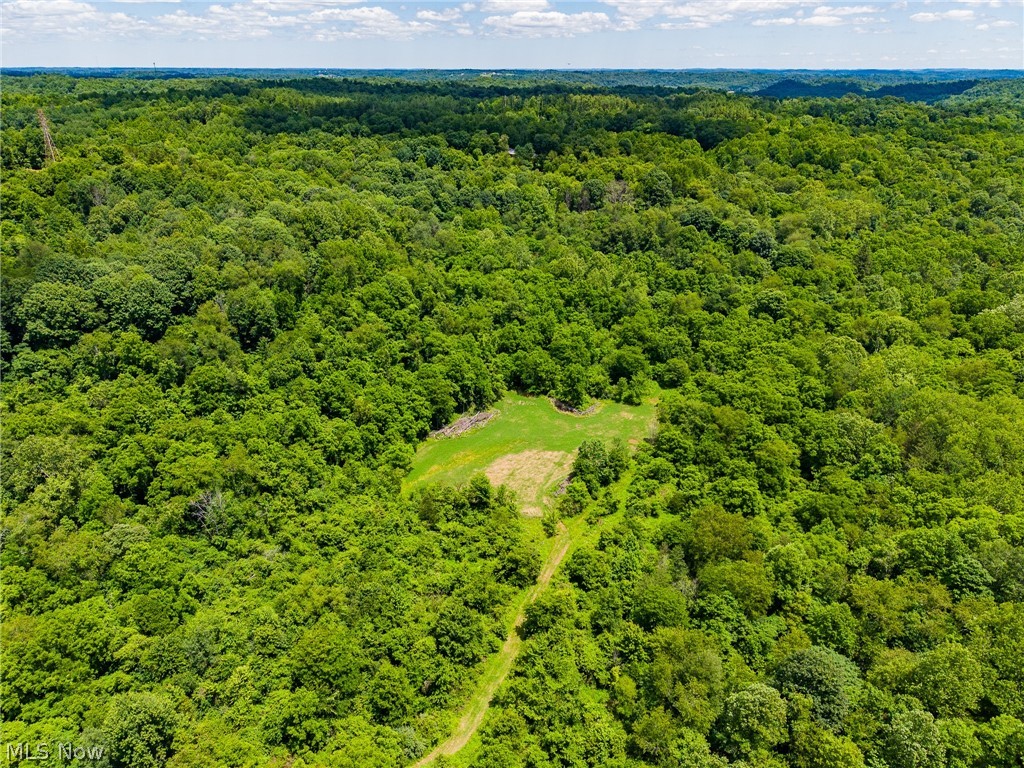 Discover 161+ acres of prime hunting and recreational land just a short drive from Zanesville, tucked away on a quiet dead-end road. This mostly wooded property is a whitetail hunter's dream, featuring three hunting blinds, an established feeder, forage plots, abundant natural bedding areas, a year-round creek, and evergreen trees that provide excellent wildlife habitat in every season. Borders state land on the south side, offering more acreage to hunt. A network of trails offers easy access throughout the property, while the expansive acreage provides the perfect location to build your own hunting cabin or retreat. Whitetail Habitat Design map comes with the property, giving you the opportunity to finish the layout for hunting. Large tracts like this are becoming increasingly rare, making this an exceptional opportunity to create a lasting family legacy for generations to come.