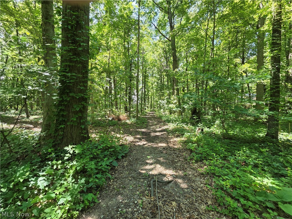 Vermillion Township - Land
