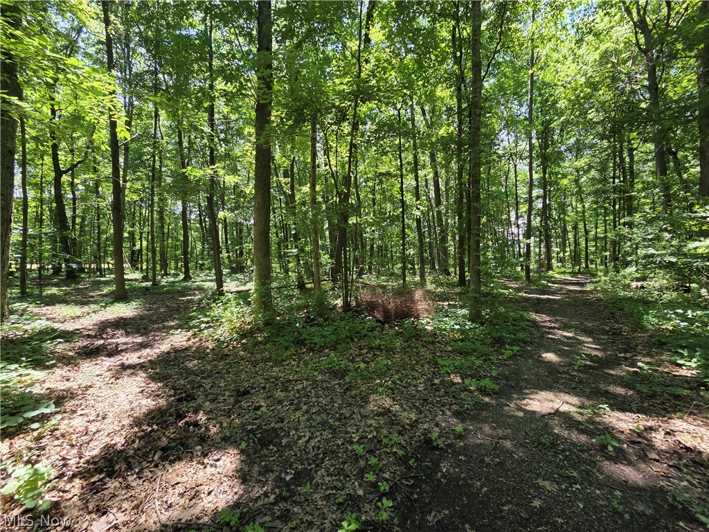 Vermillion Township - Land