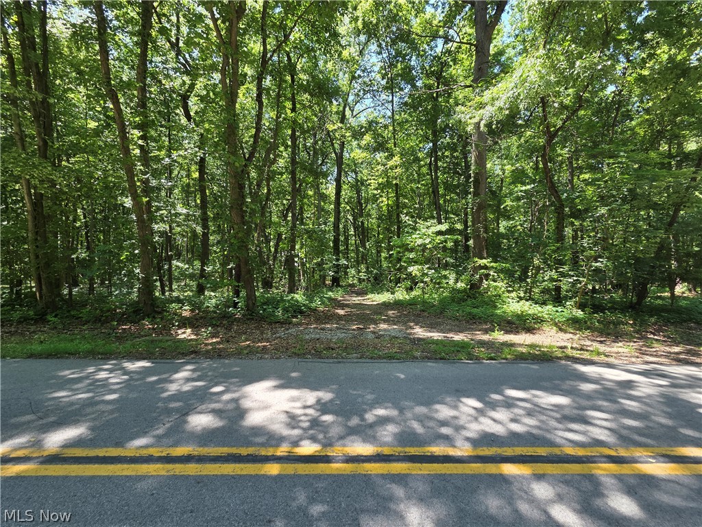 Vermillion Township - Land