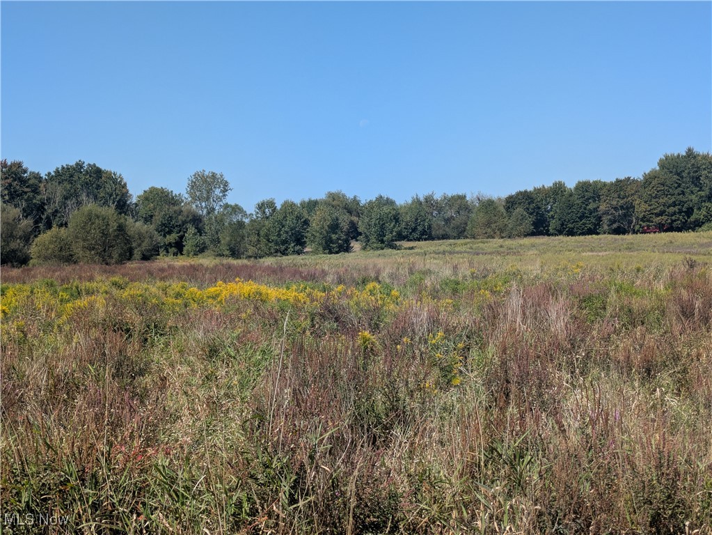 Township/Copley - Land