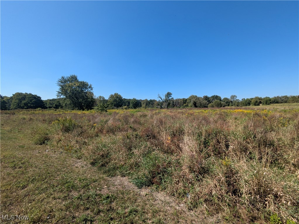 Township/Copley - Land