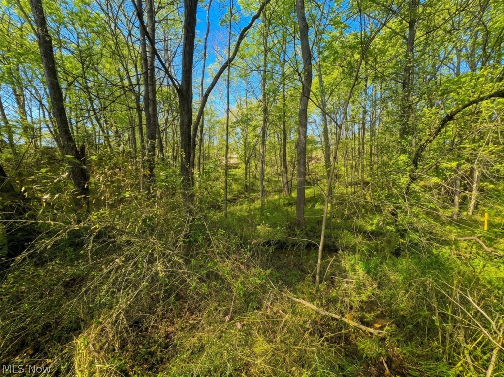 Walnut Shade Sub - Land