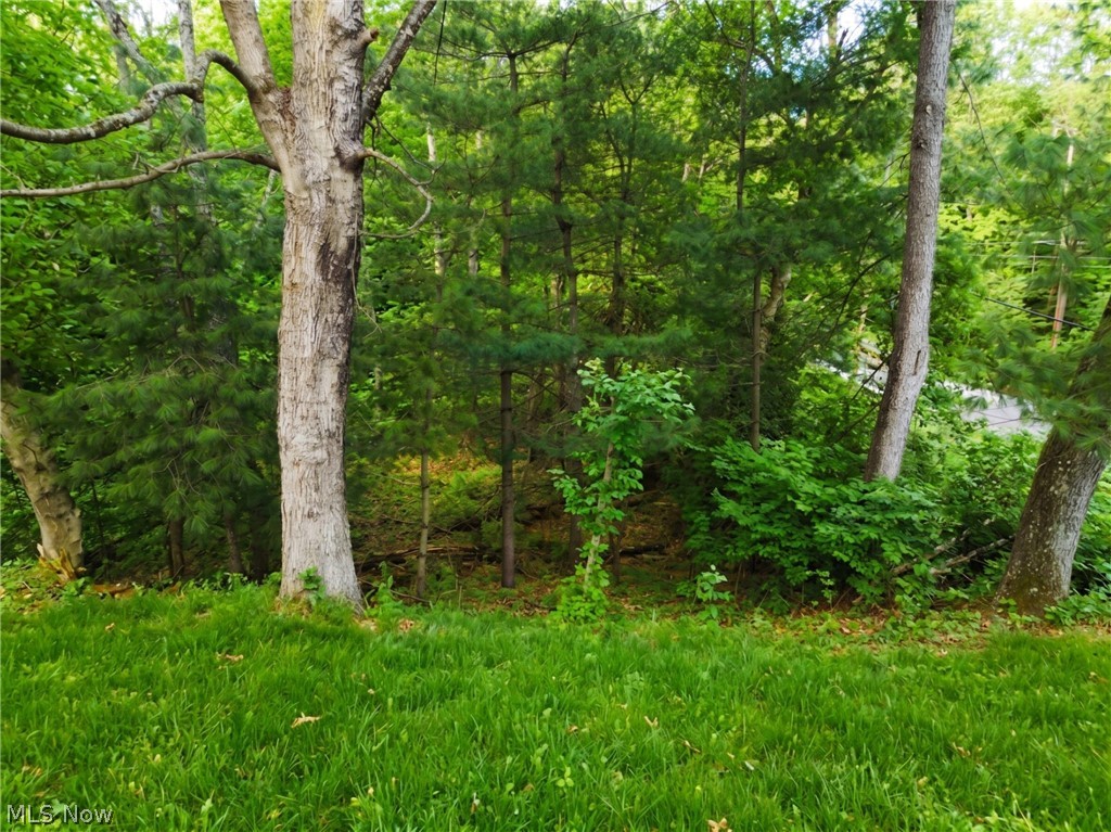 Walnut Shade Sub - Land