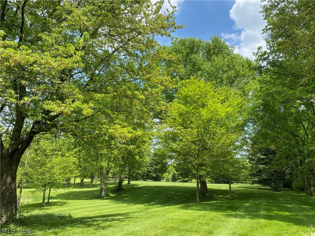 Great building lot with a beautiful tree lined driveway and plenty of privacy. Just minutes outside of town enjoy the quiet country life, but still have all the shopping and amenities close by. A fantastic pond sits on this property and has an abundance of wild life. Soil sample tests have been completed and will be given to the new buyer. 
Land is owned by a Licensed Real Estate Agent in the state of Ohio.