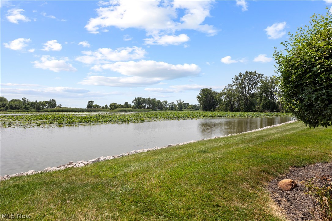Lake In Woods Condo - Residential