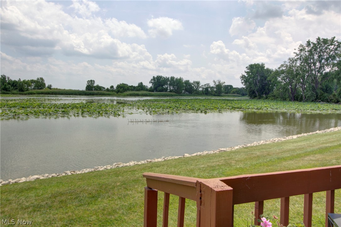 Lake In Woods Condo - Residential